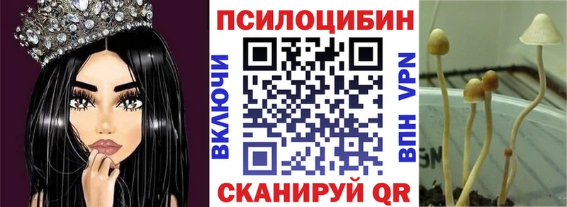 сколько стоит  Южноуральск  Галлюциногенные грибы MAGIC MUSHROOMS 