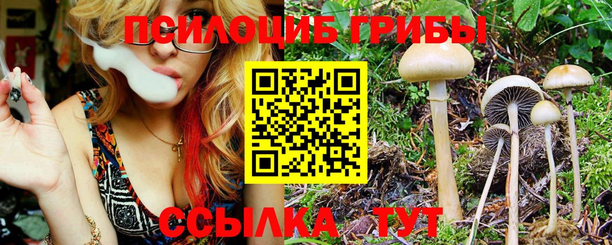 Псилоцибиновые грибы Psilocybe  продажа наркотиков  Южноуральск  Галлюциногенные грибы прущие грибы 