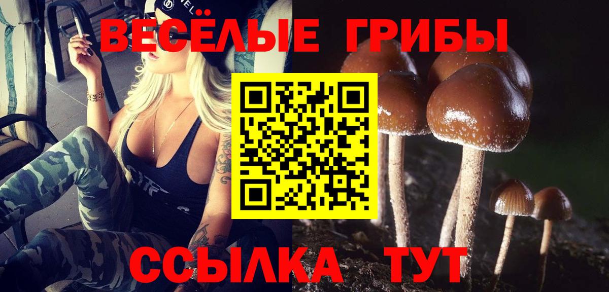 Южноуральск  Псилоцибиновые грибы прущие грибы  Вход с VPN 